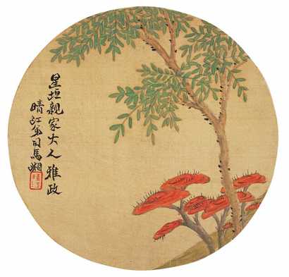 司马湘 灵芝